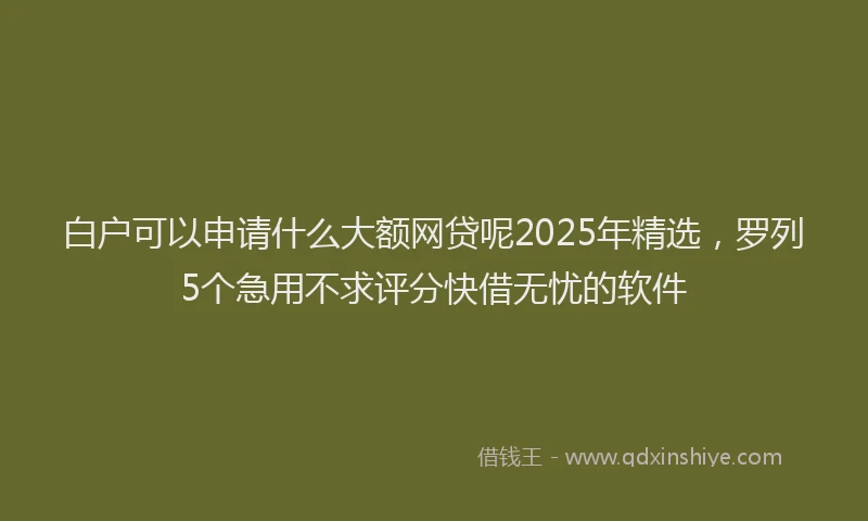 白户可以申请什么大额网贷呢2025年精选，罗列5个急用不求评分快借无忧的软件