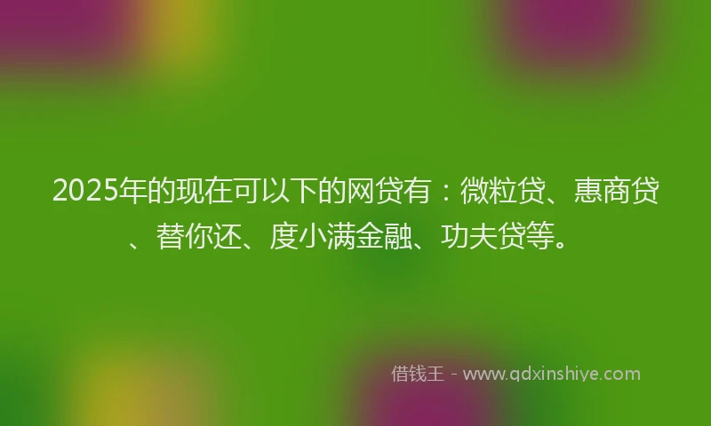 2025年的现在可以下的网贷有：微粒贷、惠商贷、替你还、度小满金融、功夫贷等。
