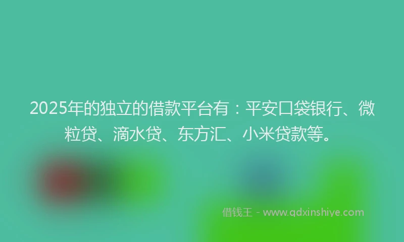 2025年的独立的借款平台有：平安口袋银行、微粒贷、滴水贷、东方汇、小米贷款等。