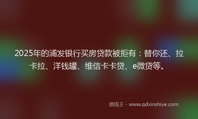 2025年的浦发银行买房贷款被拒有：替你还、拉卡拉、洋钱罐、维信卡卡贷、e微贷等。
