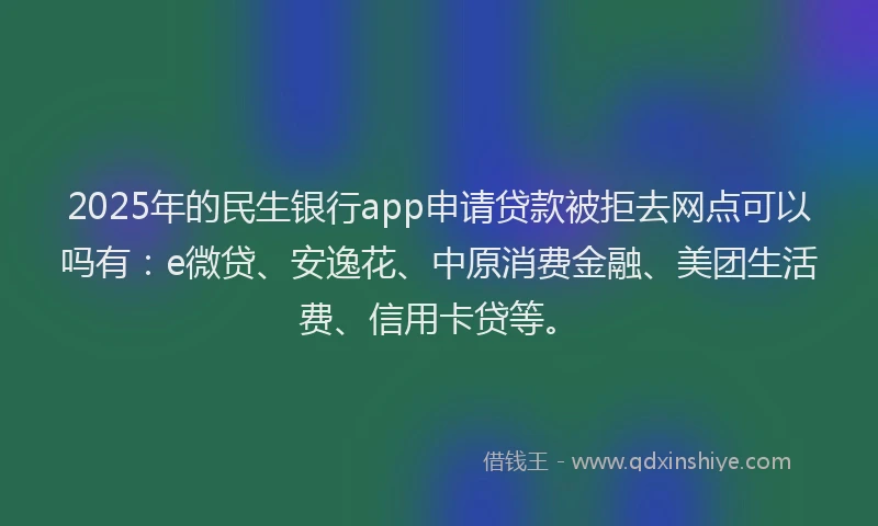 2025年的民生银行app申请贷款被拒去网点可以吗有：e微贷、安逸花、中原消费金融、美团生活费、信用卡贷等。