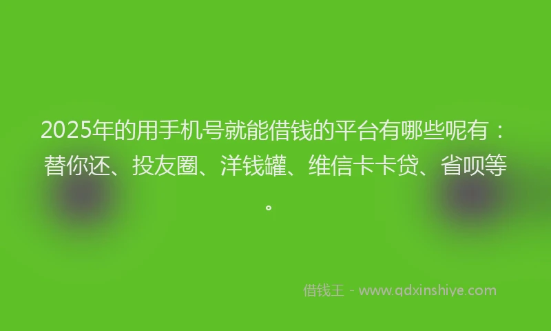 2025年的用手机号就能借钱的平台有哪些呢有：替你还、投友圈、洋钱罐、维信卡卡贷、省呗等。
