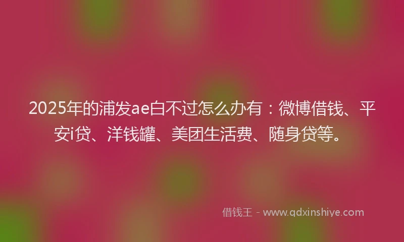 2025年的浦发ae白不过怎么办有：微博借钱、平安i贷、洋钱罐、美团生活费、随身贷等。