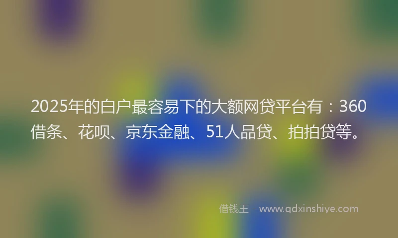 2025年的白户最容易下的大额网贷平台有：360借条、花呗、京东金融、51人品贷、拍拍贷等。