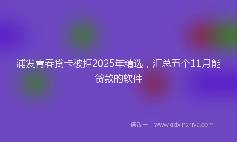 浦发青春贷卡被拒2025年精选，汇总五个11月能贷款的软件