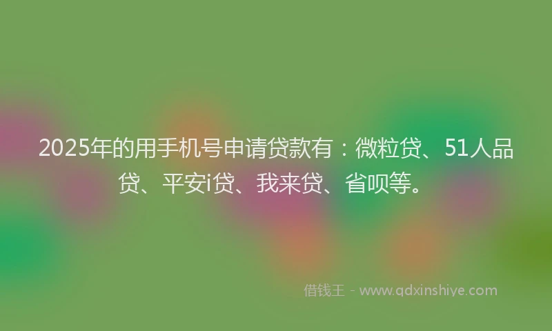 2025年的用手机号申请贷款有：微粒贷、51人品贷、平安i贷、我来贷、省呗等。