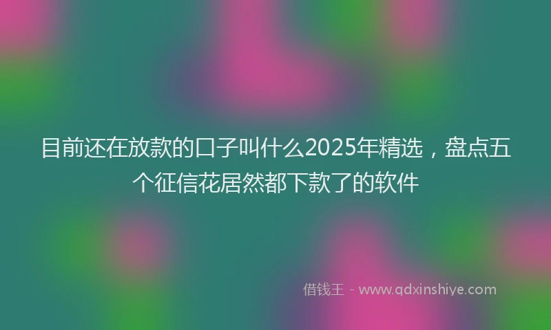 目前还在放款的口子叫什么2025年精选，盘点五个征信花居然都下款了的软件