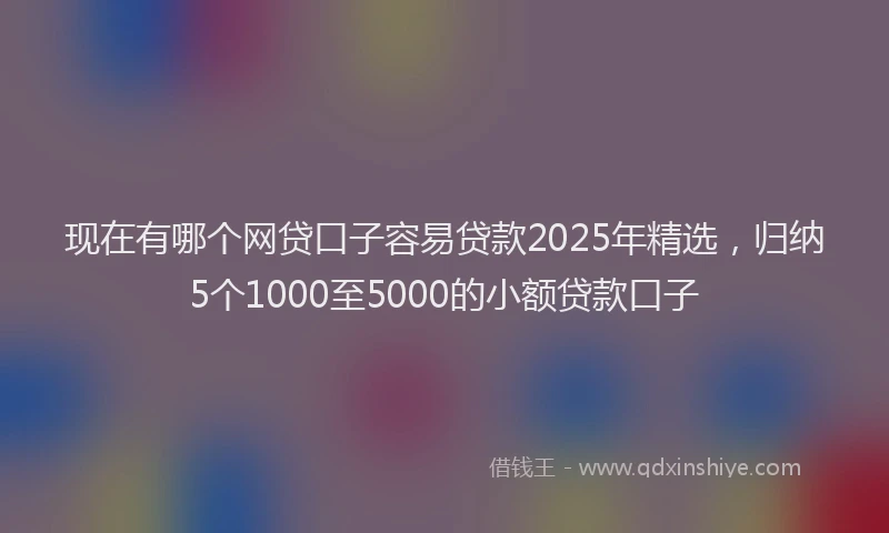 现在有哪个网贷口子容易贷款2025年精选，归纳5个1000至5000的小额贷款口子