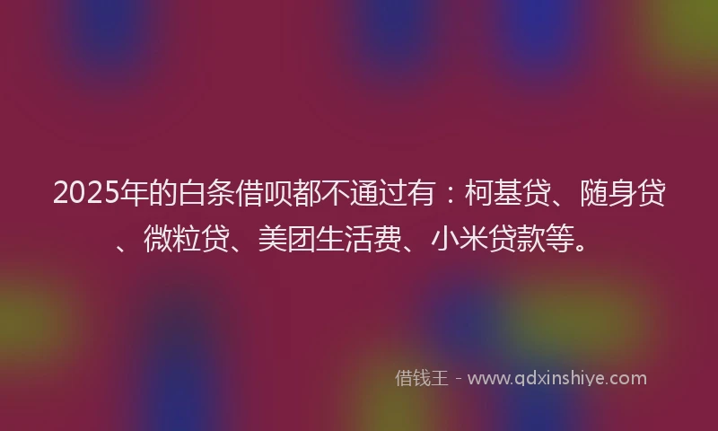 2025年的白条借呗都不通过有：柯基贷、随身贷、微粒贷、美团生活费、小米贷款等。