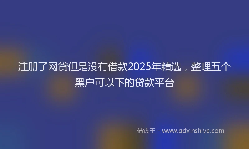 注册了网贷但是没有借款2025年精选，整理五个黑户可以下的贷款平台