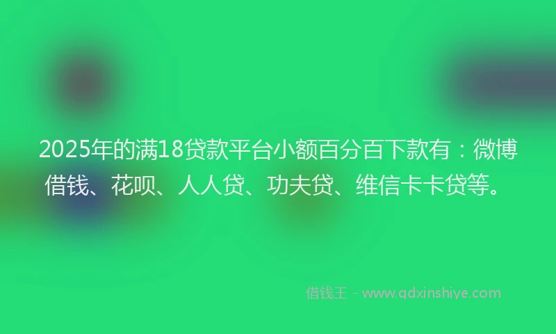 2025年的满18贷款平台小额百分百下款有：微博借钱、花呗、人人贷、功夫贷、维信卡卡贷等。