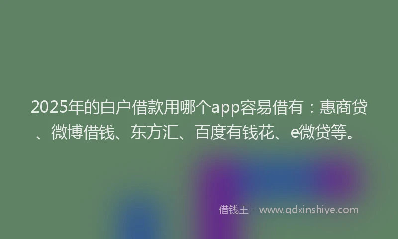 2025年的白户借款用哪个app容易借有：惠商贷、微博借钱、东方汇、百度有钱花、e微贷等。