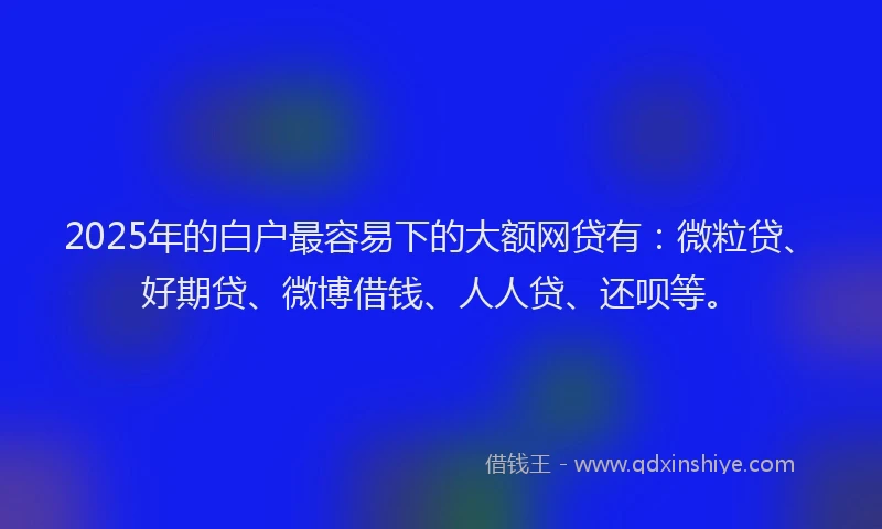 2025年的白户最容易下的大额网贷有：微粒贷、好期贷、微博借钱、人人贷、还呗等。