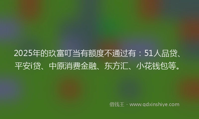 2025年的玖富叮当有额度不通过有：51人品贷、平安i贷、中原消费金融、东方汇、小花钱包等。