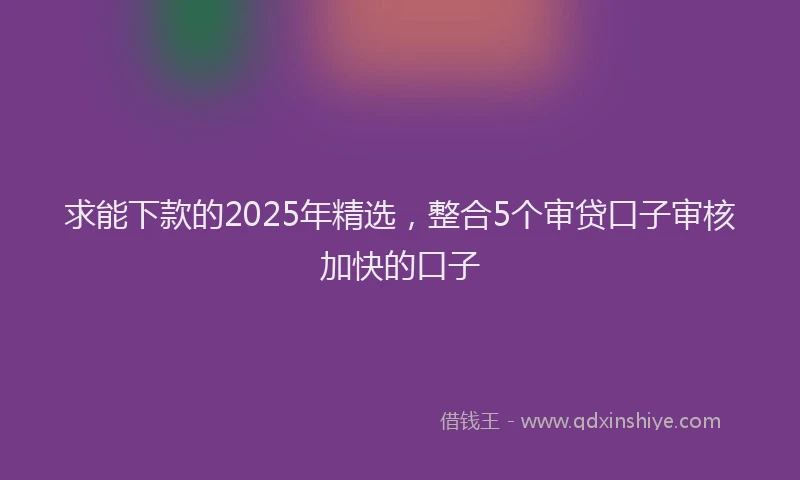 求能下款的2025年精选，整合5个审贷口子审核加快的口子