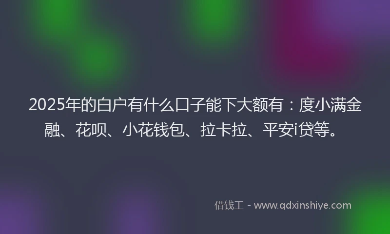 2025年的白户有什么口子能下大额有：度小满金融、花呗、小花钱包、拉卡拉、平安i贷等。