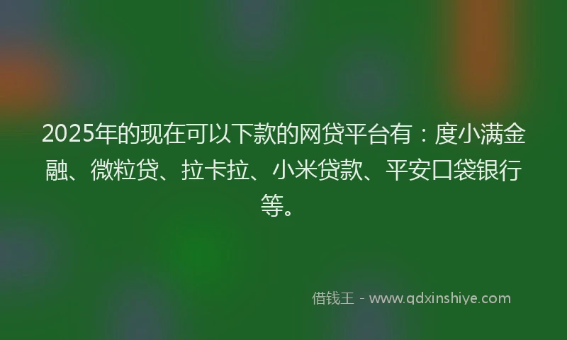 2025年的现在可以下款的网贷平台有：度小满金融、微粒贷、拉卡拉、小米贷款、平安口袋银行等。