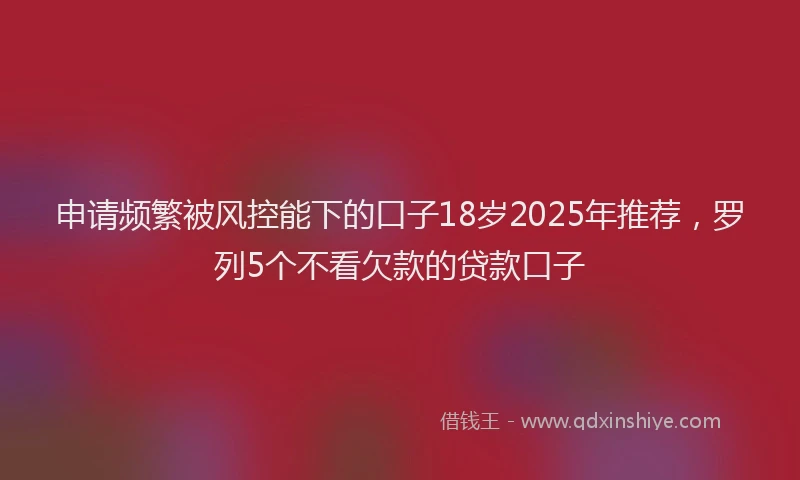 申请频繁被风控能下的口子18岁2025年推荐，罗列5个不看欠款的贷款口子
