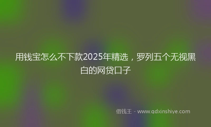 用钱宝怎么不下款2025年精选，罗列五个无视黑白的网贷口子