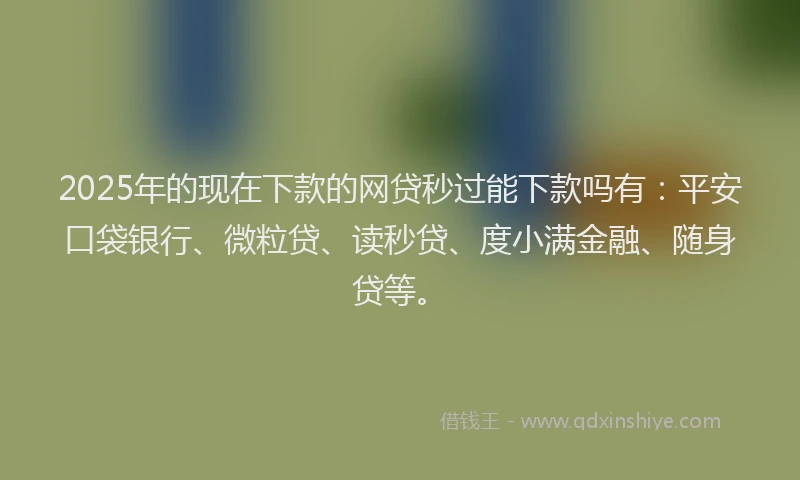 2025年的现在下款的网贷秒过能下款吗有：平安口袋银行、微粒贷、读秒贷、度小满金融、随身贷等。