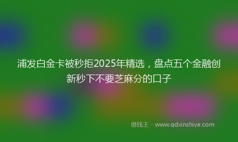 浦发白金卡被秒拒2025年精选，盘点五个金融创新秒下不要芝麻分的口子