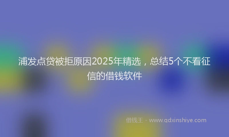 浦发点贷被拒原因2025年精选，总结5个不看征信的借钱软件