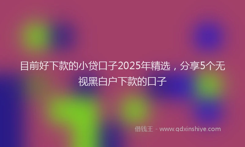 目前好下款的小贷口子2025年精选，分享5个无视黑白户下款的口子