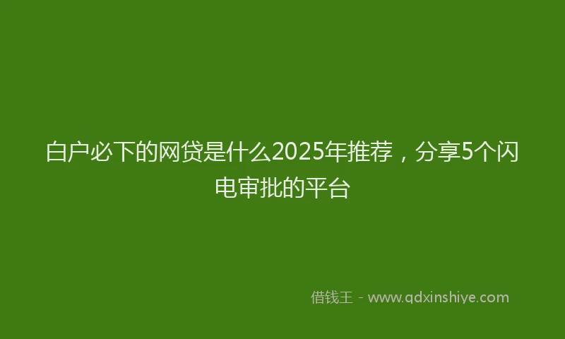 白户必下的网贷是什么2025年推荐，分享5个闪电审批的平台