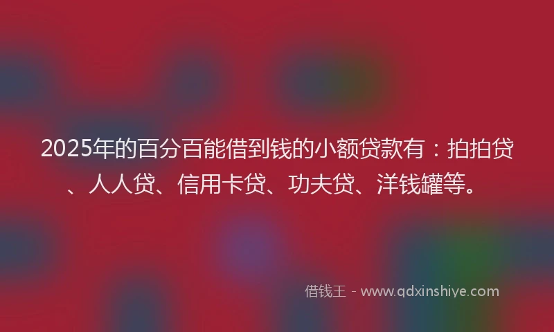2025年的百分百能借到钱的小额贷款有：拍拍贷、人人贷、信用卡贷、功夫贷、洋钱罐等。