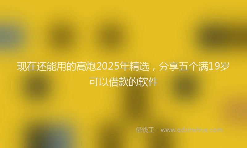 现在还能用的高炮2025年精选，分享五个满19岁可以借款的软件