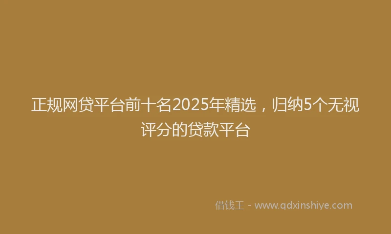 正规网贷平台前十名2025年精选，归纳5个无视评分的贷款平台