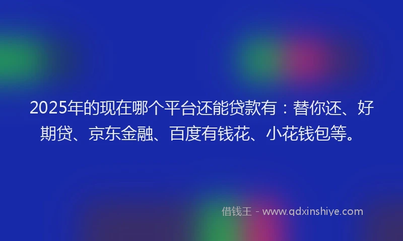 2025年的现在哪个平台还能贷款有：替你还、好期贷、京东金融、百度有钱花、小花钱包等。