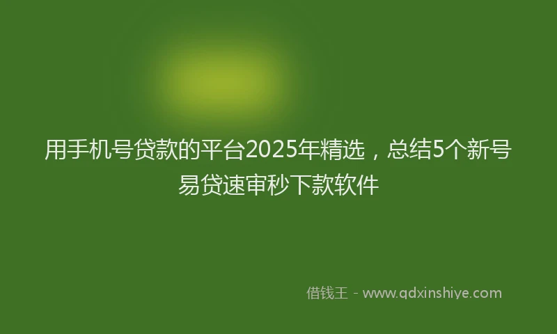 用手机号贷款的平台2025年精选，总结5个新号易贷速审秒下款软件