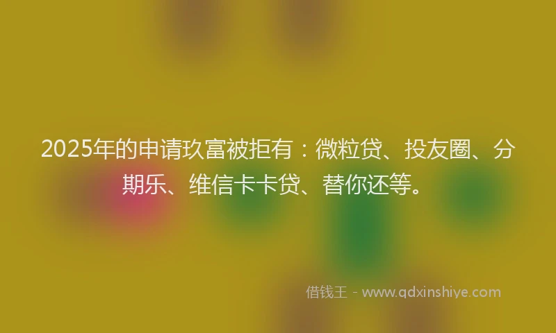 2025年的申请玖富被拒有：微粒贷、投友圈、分期乐、维信卡卡贷、替你还等。