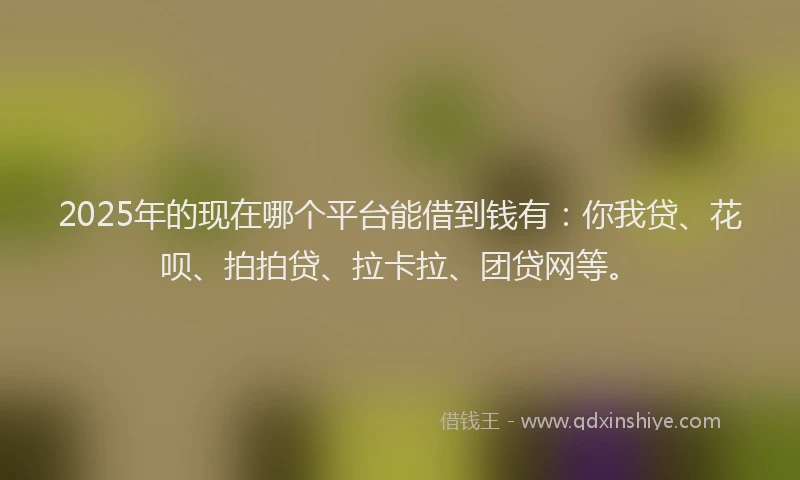 2025年的现在哪个平台能借到钱有：你我贷、花呗、拍拍贷、拉卡拉、团贷网等。