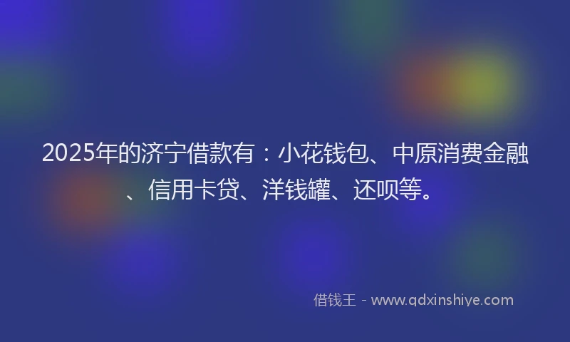 2025年的济宁借款有：小花钱包、中原消费金融、信用卡贷、洋钱罐、还呗等。