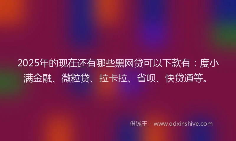 2025年的现在还有哪些黑网贷可以下款有：度小满金融、微粒贷、拉卡拉、省呗、快贷通等。