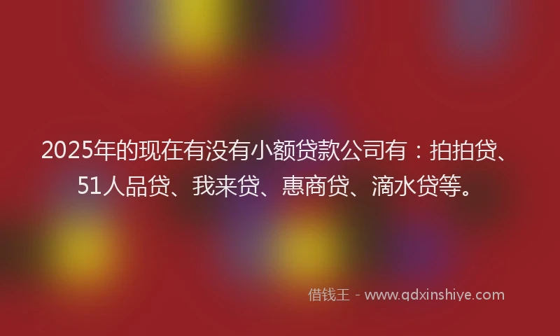 2025年的现在有没有小额贷款公司有：拍拍贷、51人品贷、我来贷、惠商贷、滴水贷等。