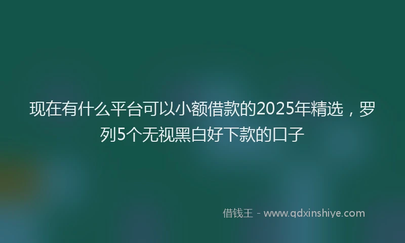 现在有什么平台可以小额借款的2025年精选，罗列5个无视黑白好下款的口子