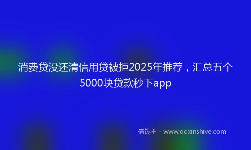消费贷没还清信用贷被拒2025年推荐，汇总五个5000块贷款秒下app