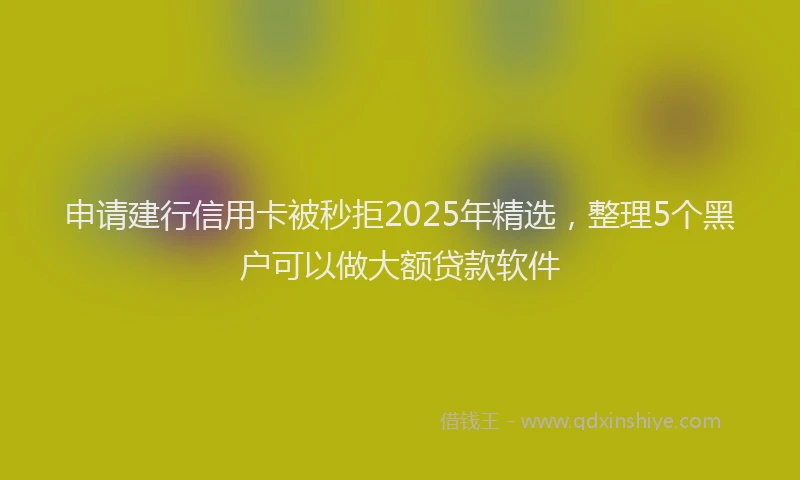 申请建行信用卡被秒拒2025年精选，整理5个黑户可以做大额贷款软件