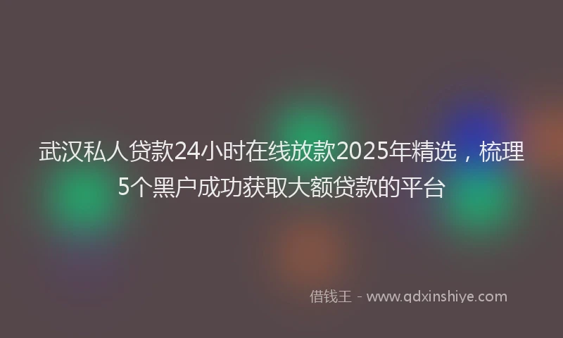 武汉私人贷款24小时在线放款2025年精选，梳理5个黑户成功获取大额贷款的平台