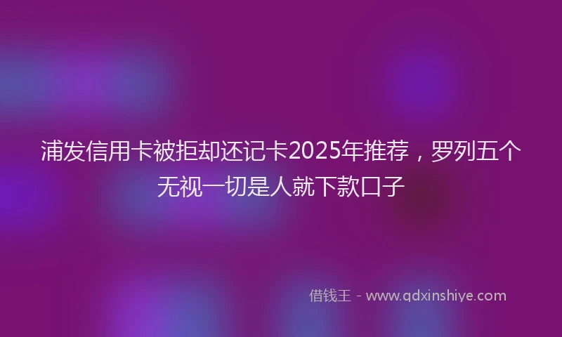 浦发信用卡被拒却还记卡2025年推荐，罗列五个无视一切是人就下款口子