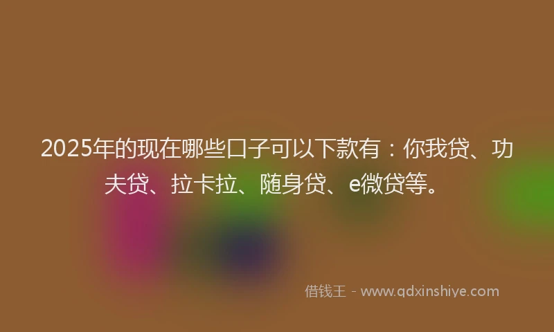 2025年的现在哪些口子可以下款有：你我贷、功夫贷、拉卡拉、随身贷、e微贷等。