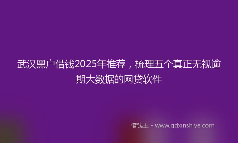 武汉黑户借钱2025年推荐，梳理五个真正无视逾期大数据的网贷软件
