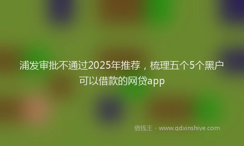 浦发审批不通过2025年推荐，梳理五个5个黑户可以借款的网贷app