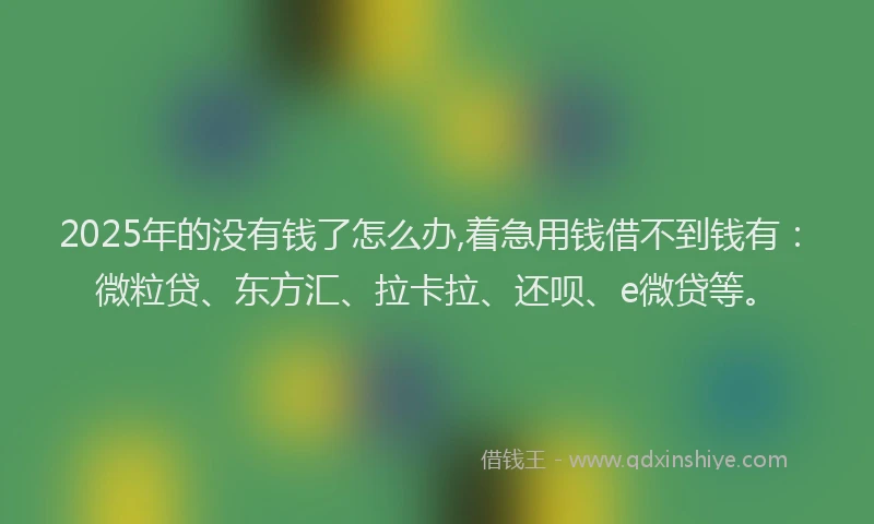 2025年的没有钱了怎么办,着急用钱借不到钱有：微粒贷、东方汇、拉卡拉、还呗、e微贷等。