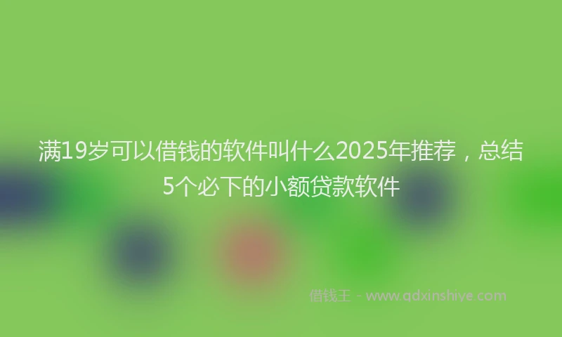 满19岁可以借钱的软件叫什么2025年推荐，总结5个必下的小额贷款软件