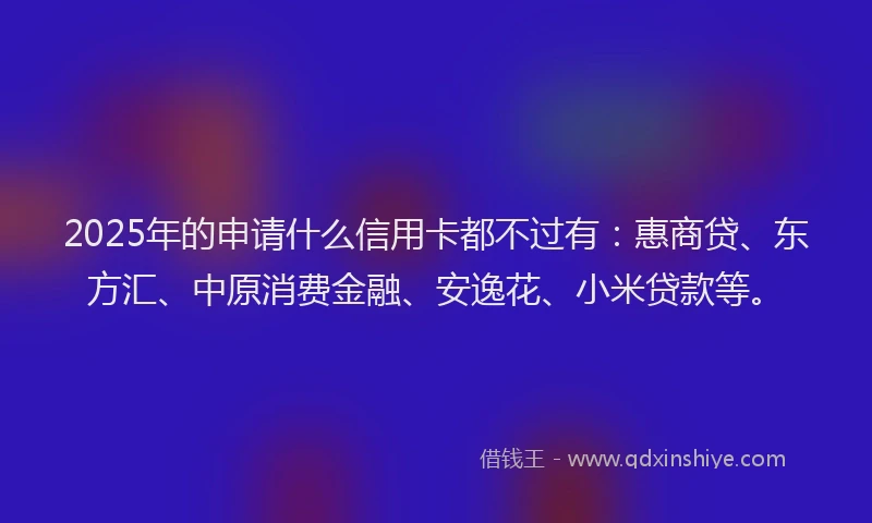 2025年的申请什么信用卡都不过有：惠商贷、东方汇、中原消费金融、安逸花、小米贷款等。