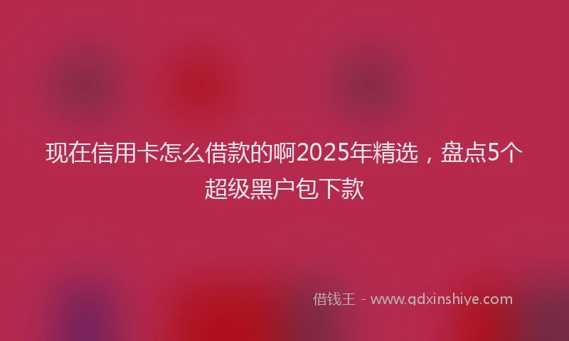 现在信用卡怎么借款的啊2025年精选，盘点5个超级黑户包下款